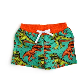 Drew Dino SWIM SHORTS