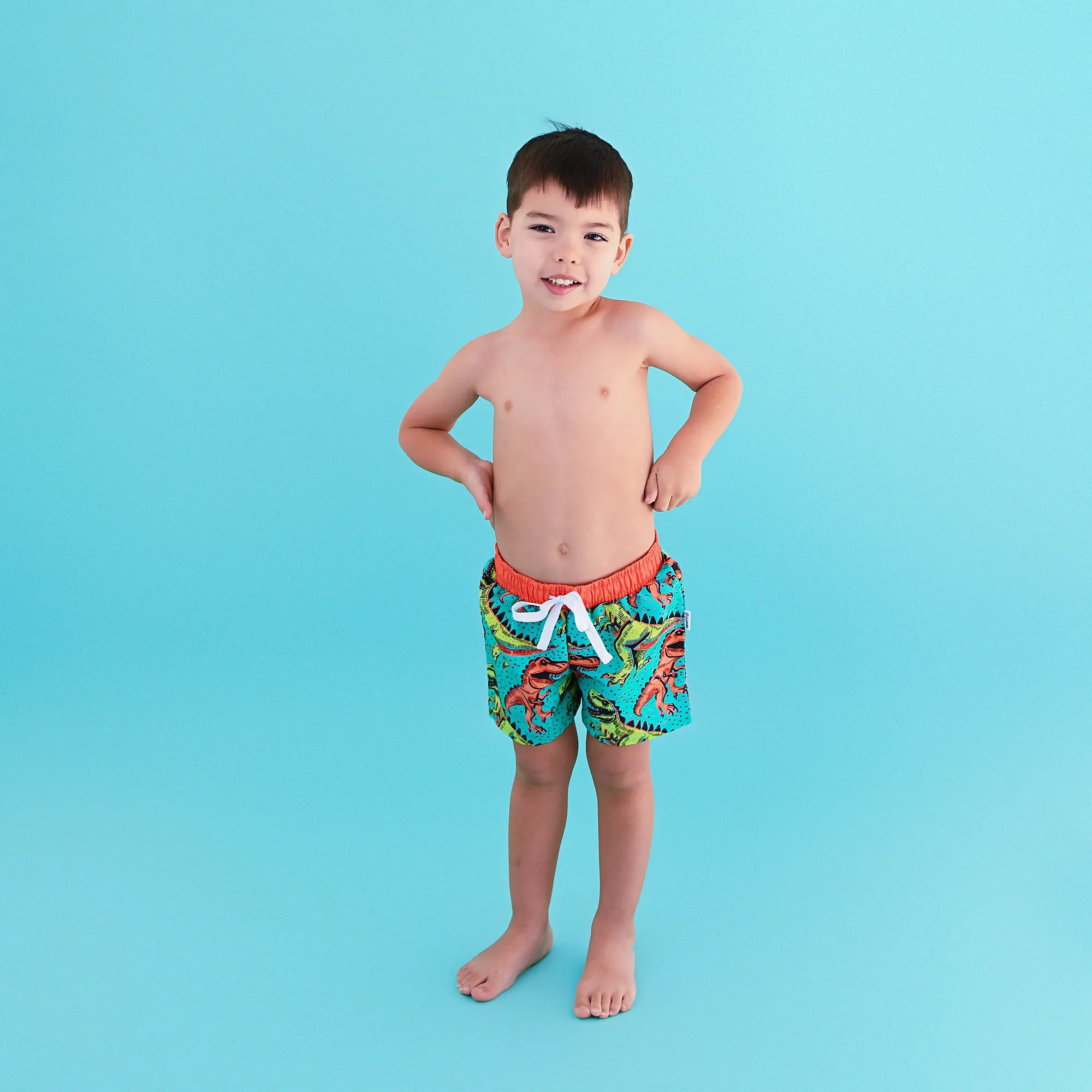 Drew Dino SWIM SHORTS
